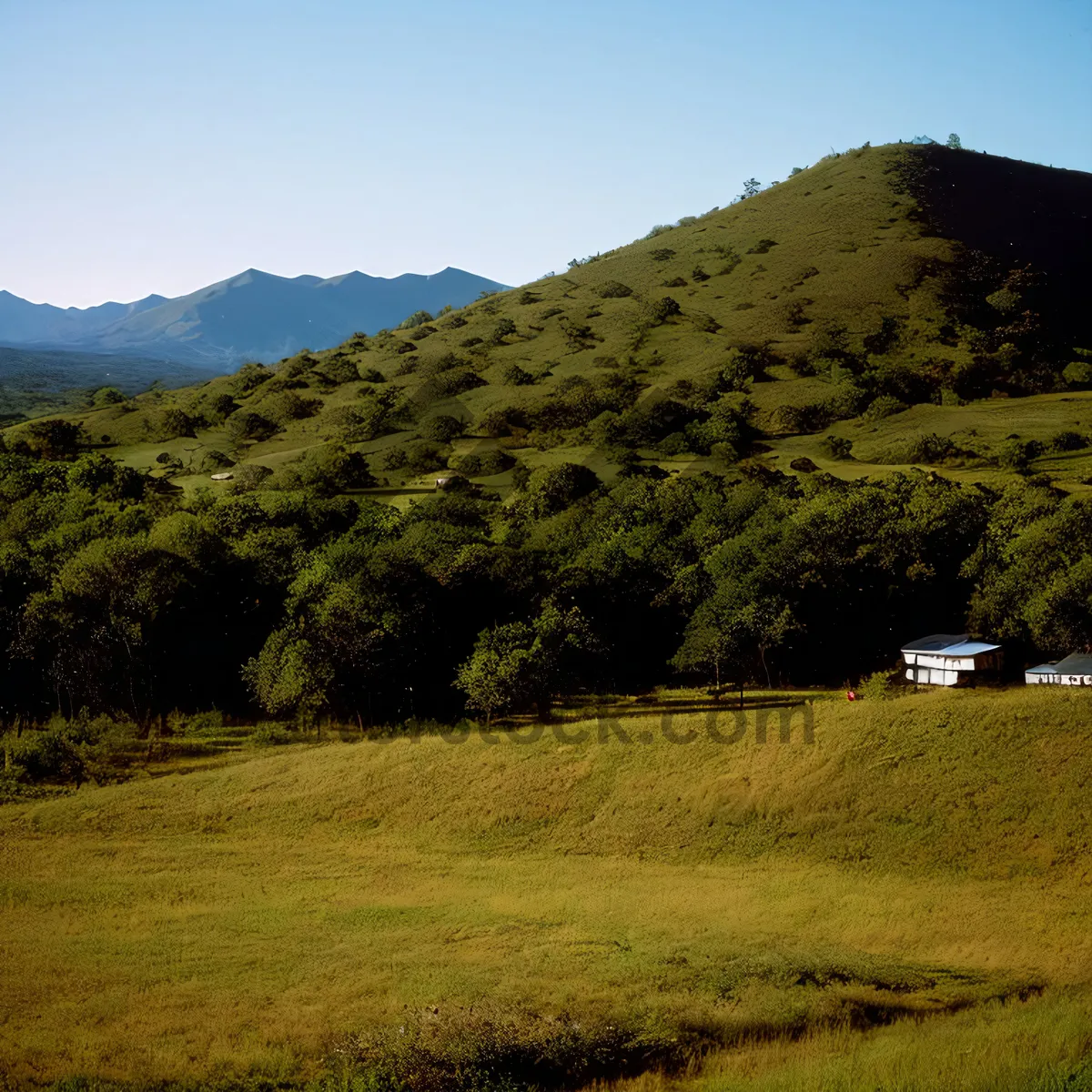 Picture of Baseball Field Amidst Scenic Highland Landscape