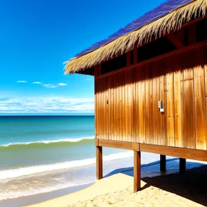 Sunny Beach Paradise: Azure Waters and Palm Trees