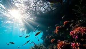 Bright sun rays on tropical coral reef underwater dive.