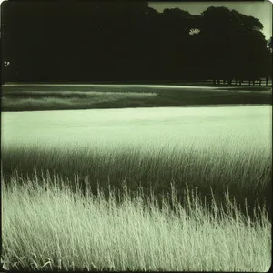 Serenity on the Water: Sky, Grass, Lake, Texture