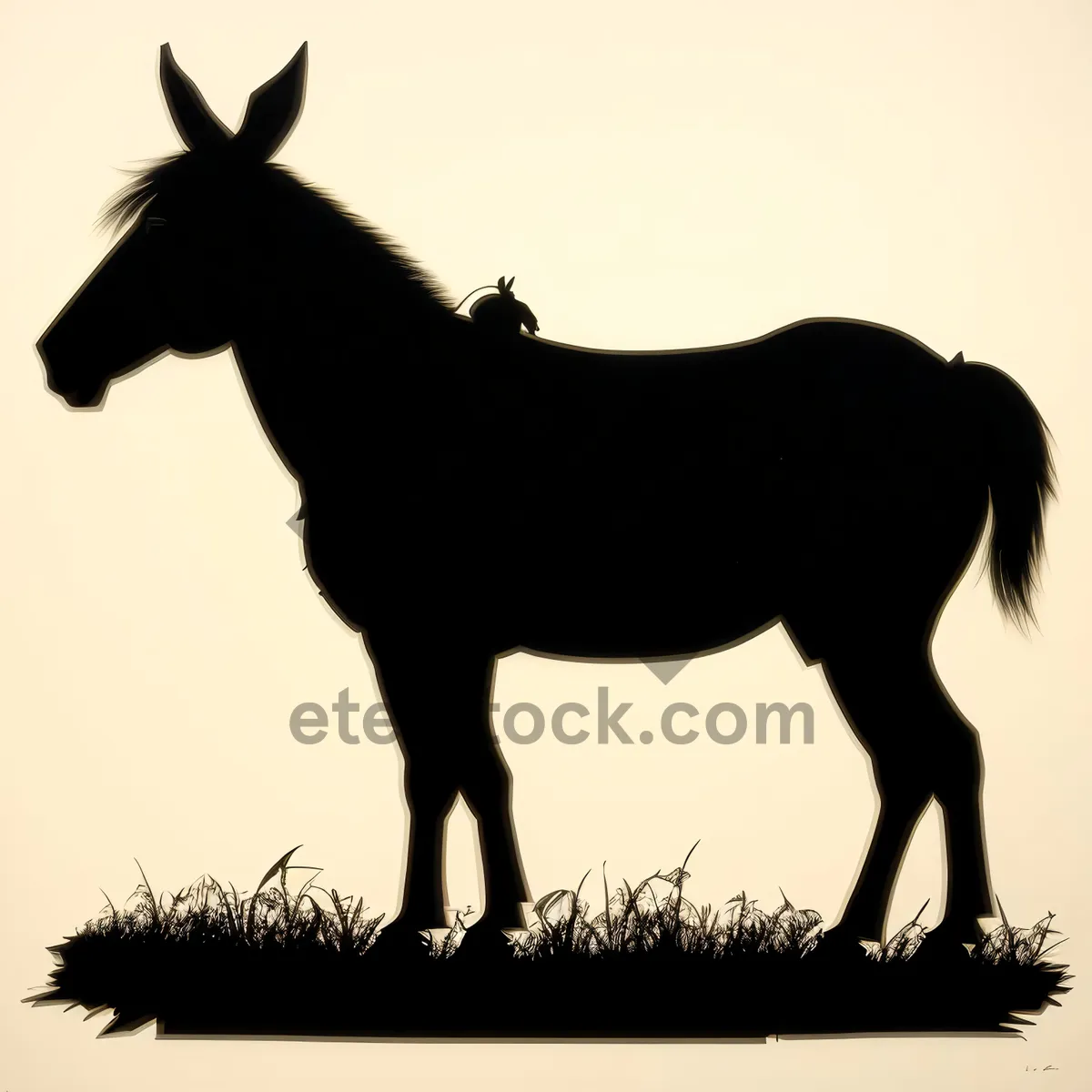 Picture of Rural Horse Grazing in Meadow