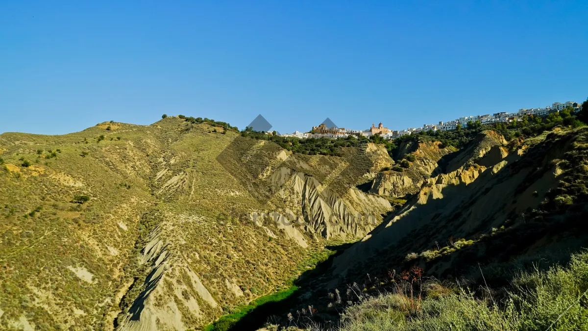 Picture of Mountain landscape with lush trees and clear skies