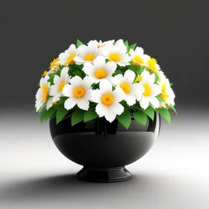 Japanese Spring Blossom Bouquet: Delicate White Floral Petals