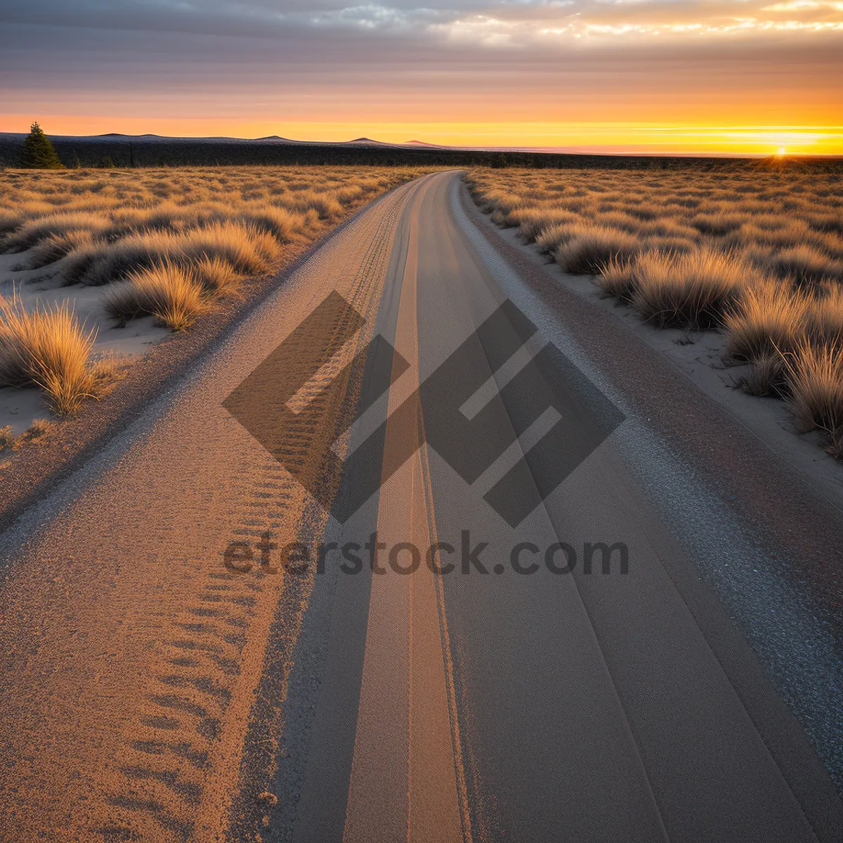 Picture of Endless Road: Serene Desert Highway Journey