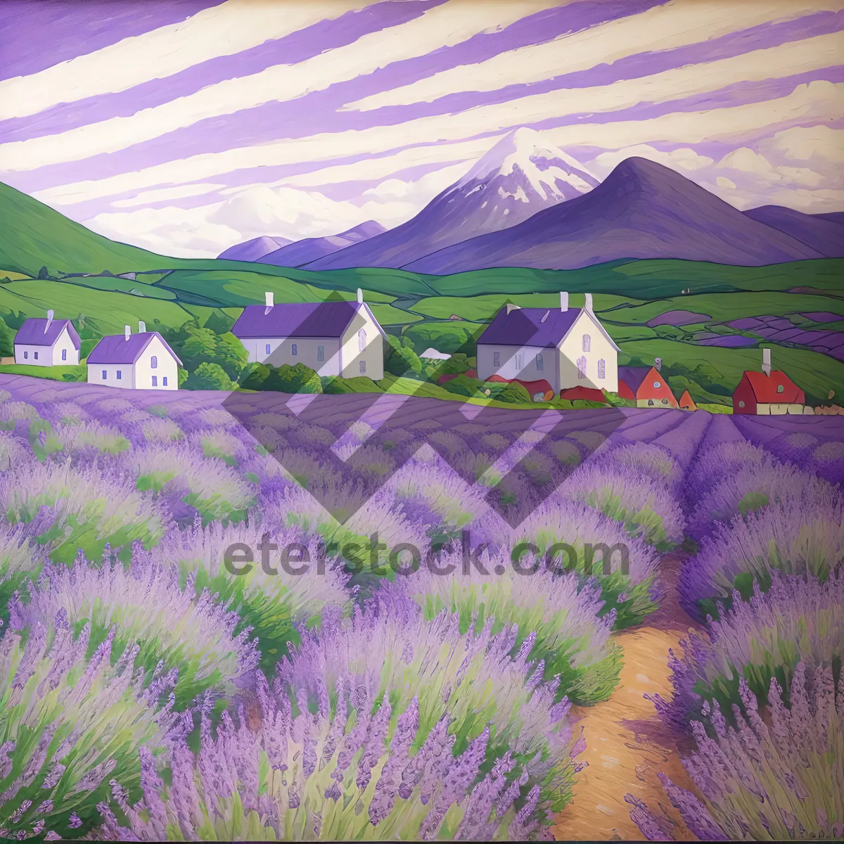 Picture of Vibrant Lavender Field Blossoming with Colorful Flowers