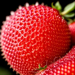 Juicy Fresh Strawberries - Sweet Summer Delights!