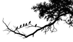 Black floral tree silhouette with oak branches