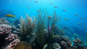 Colorful Coral Reef Underwater Diving Exploration.