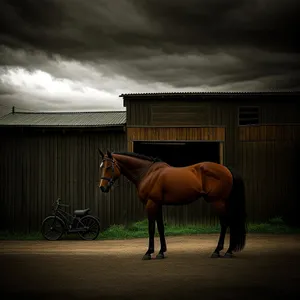 Brown horse in a rural pasture wearing a saddle.