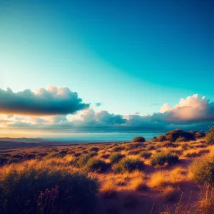 Vibrant Sunset over Tranquil Ocean