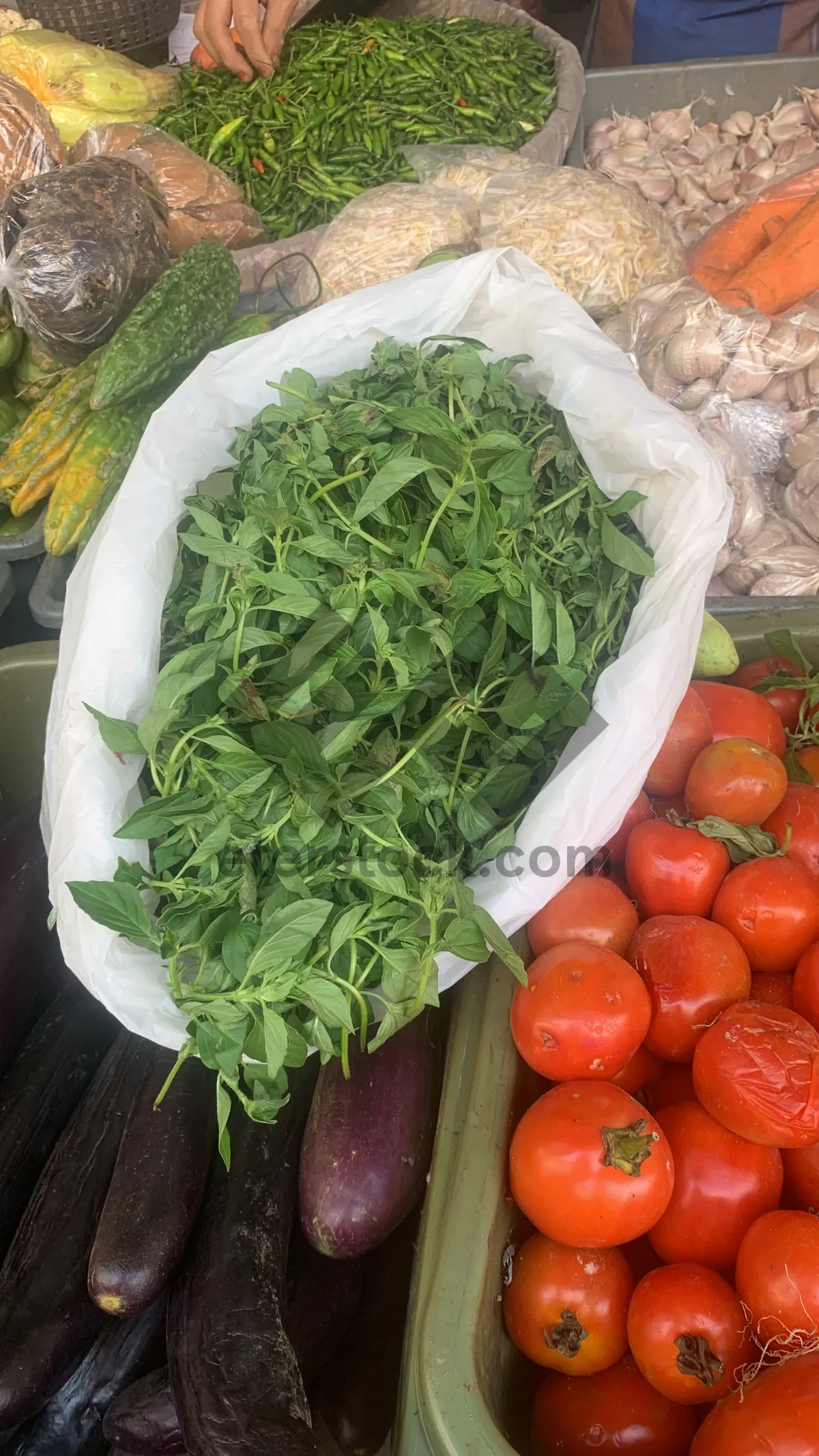 Picture of Fresh Garden Salad with Tomatoes and Cucumbers.