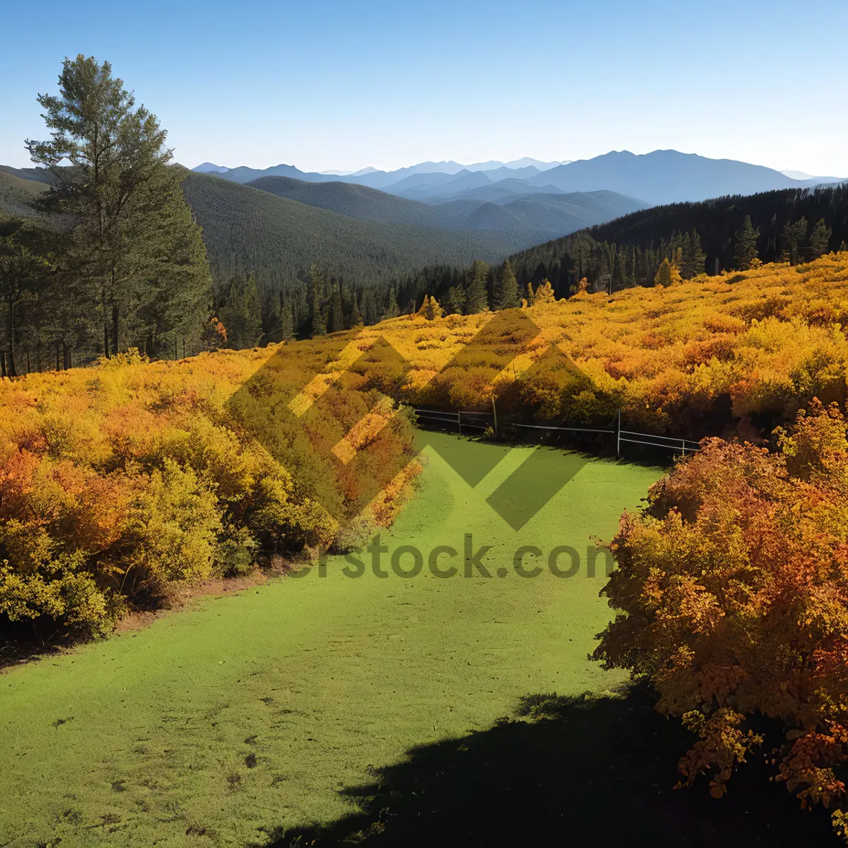 Picture of Autumn Mountain Landscape with Yellow Trees and River