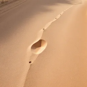 Sun-kissed sand waves drift across dune pattern