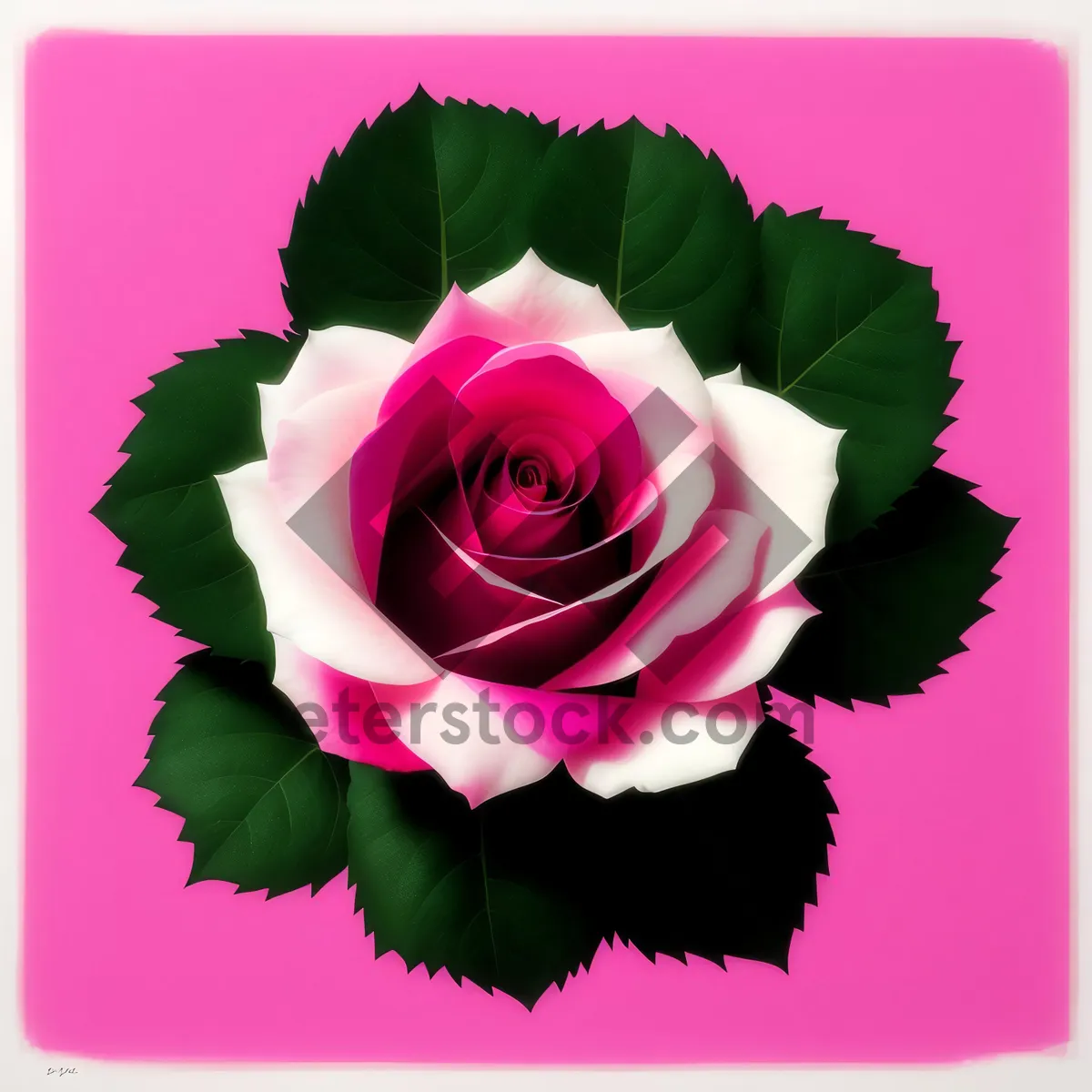 Picture of Romantic Rose Petal Bouquet: A Love-filled Floral Gift