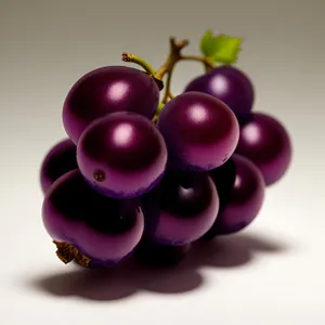 Vibrant Purple Grape Cluster: Fresh and Nutritious Harvest