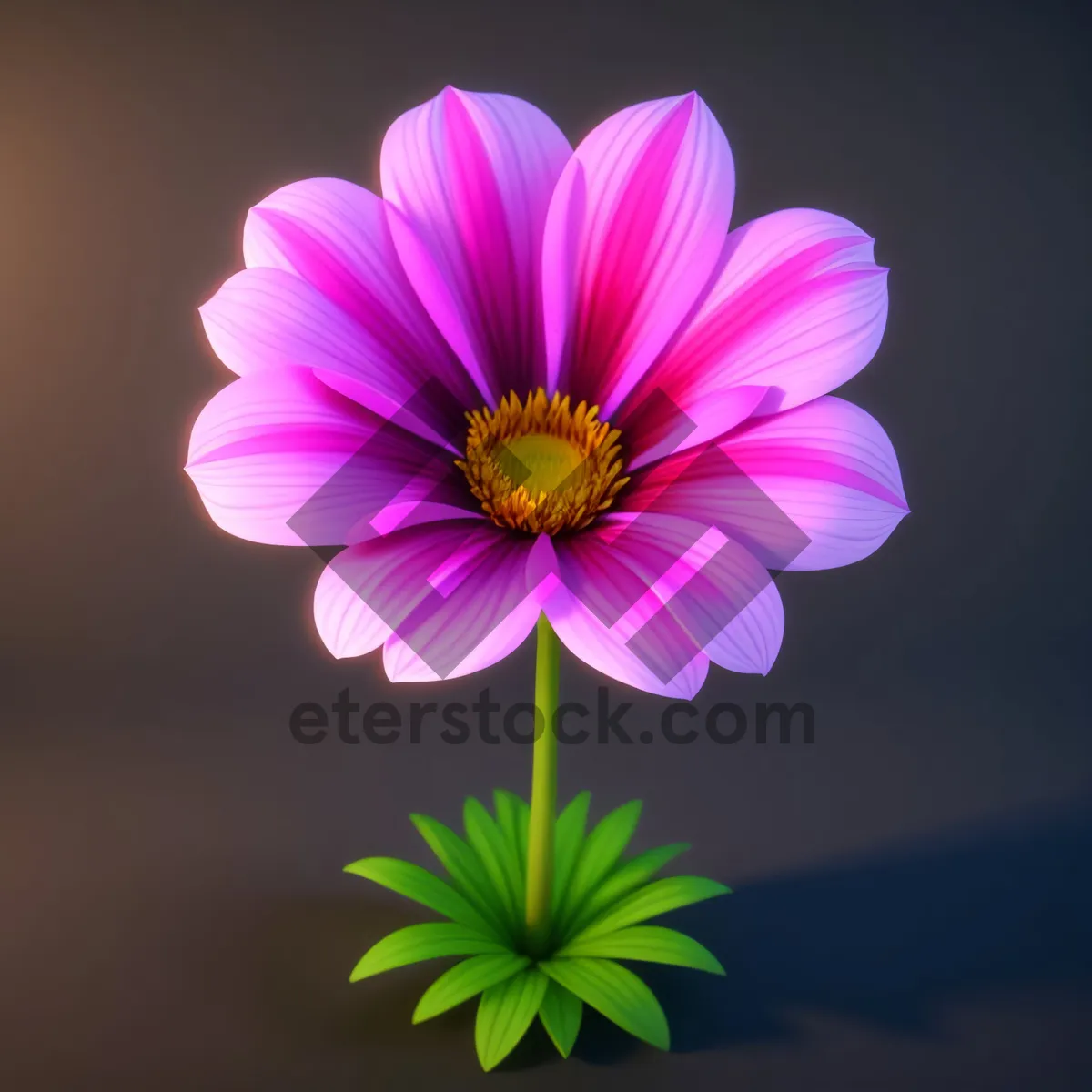 Picture of Colorful Blooming Daisy in a Summer Garden