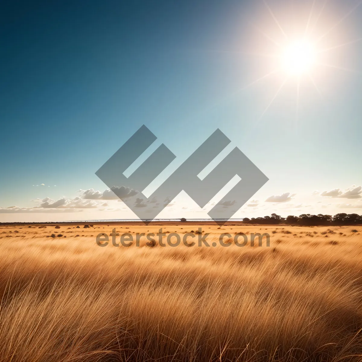 Picture of Serenity in the Desert: Sun-kissed Sand Dunes at Sunset