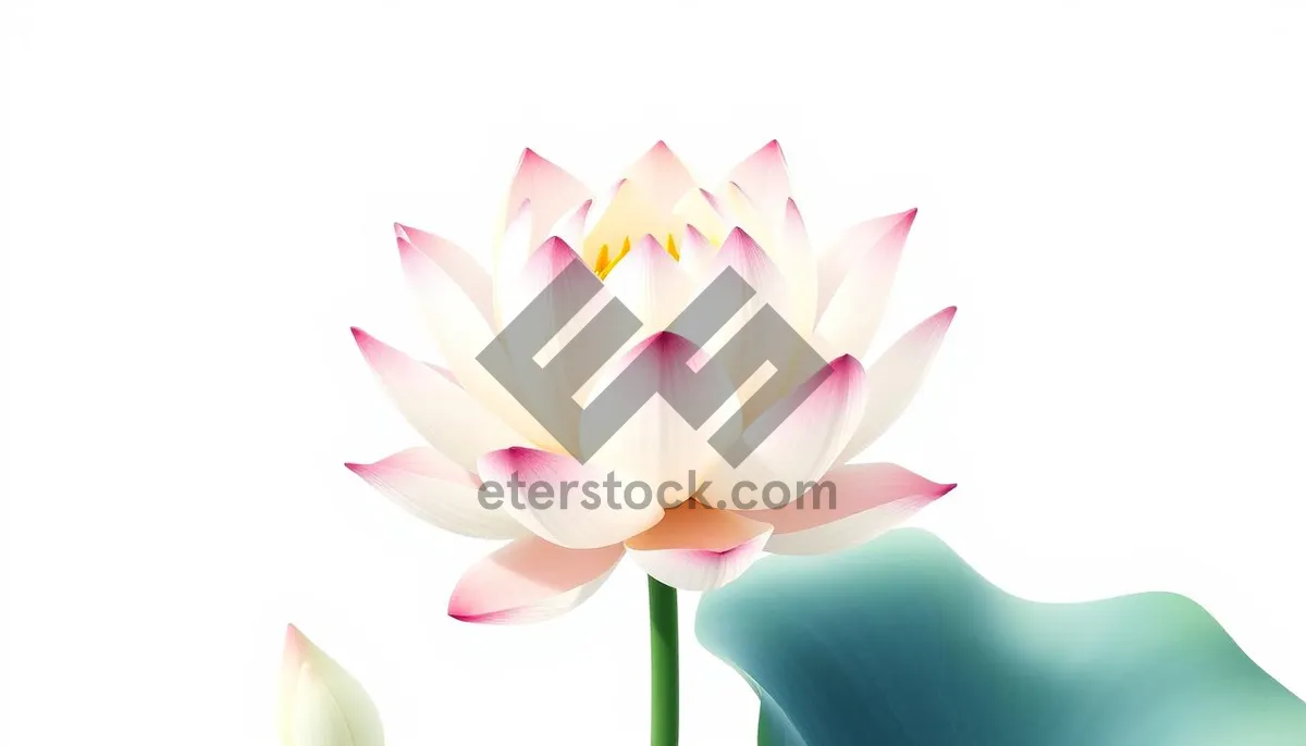 Picture of Bright Pink Floral Bouquet Design Element