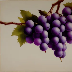 Autumnal Sweet Grape Bunch with Wine