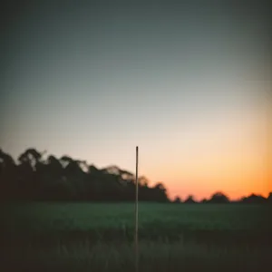 Sunset over the Rural Meadow