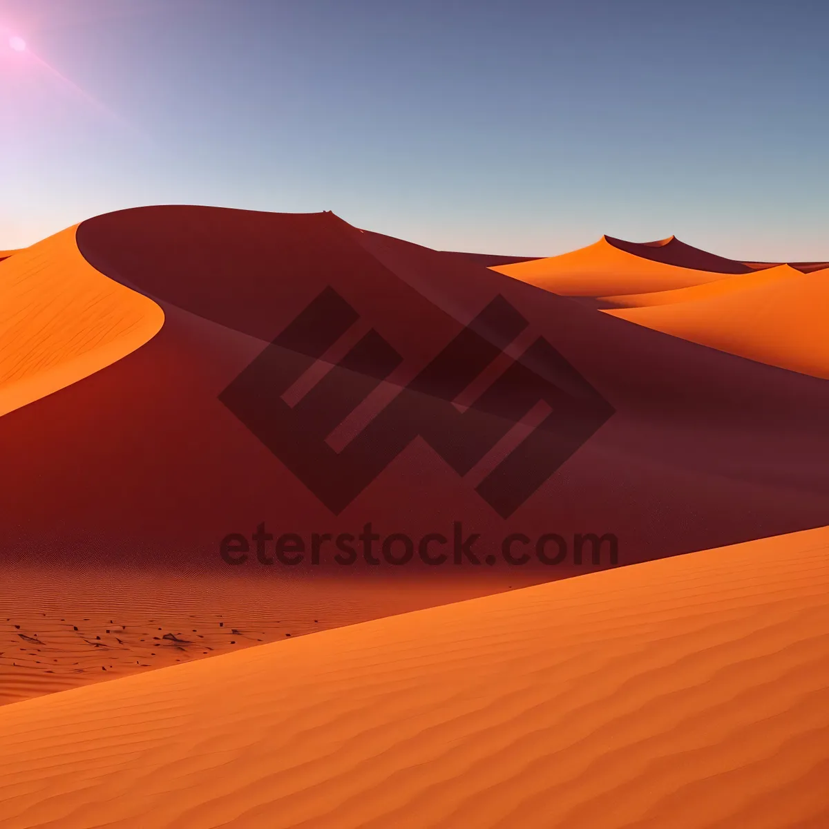 Picture of Serenity of the Saharan Sands