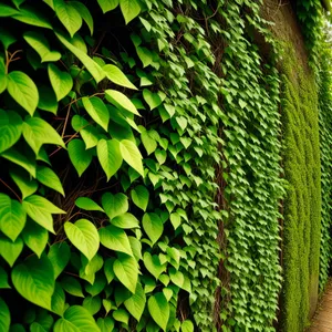 Vibrant Forest Foliage with Fern Leaves