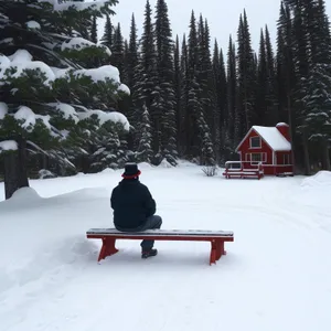 Winter Wonderland Bobsled Adventure