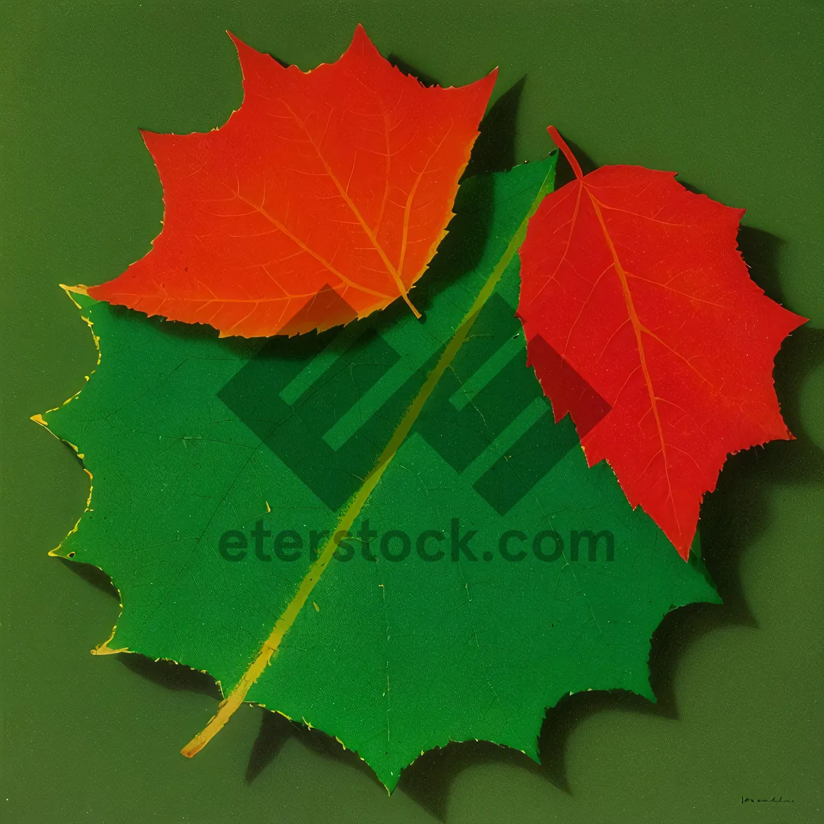 Picture of Vibrant Autumn Foliage: Maple and Oak Leaves in Bright Colors