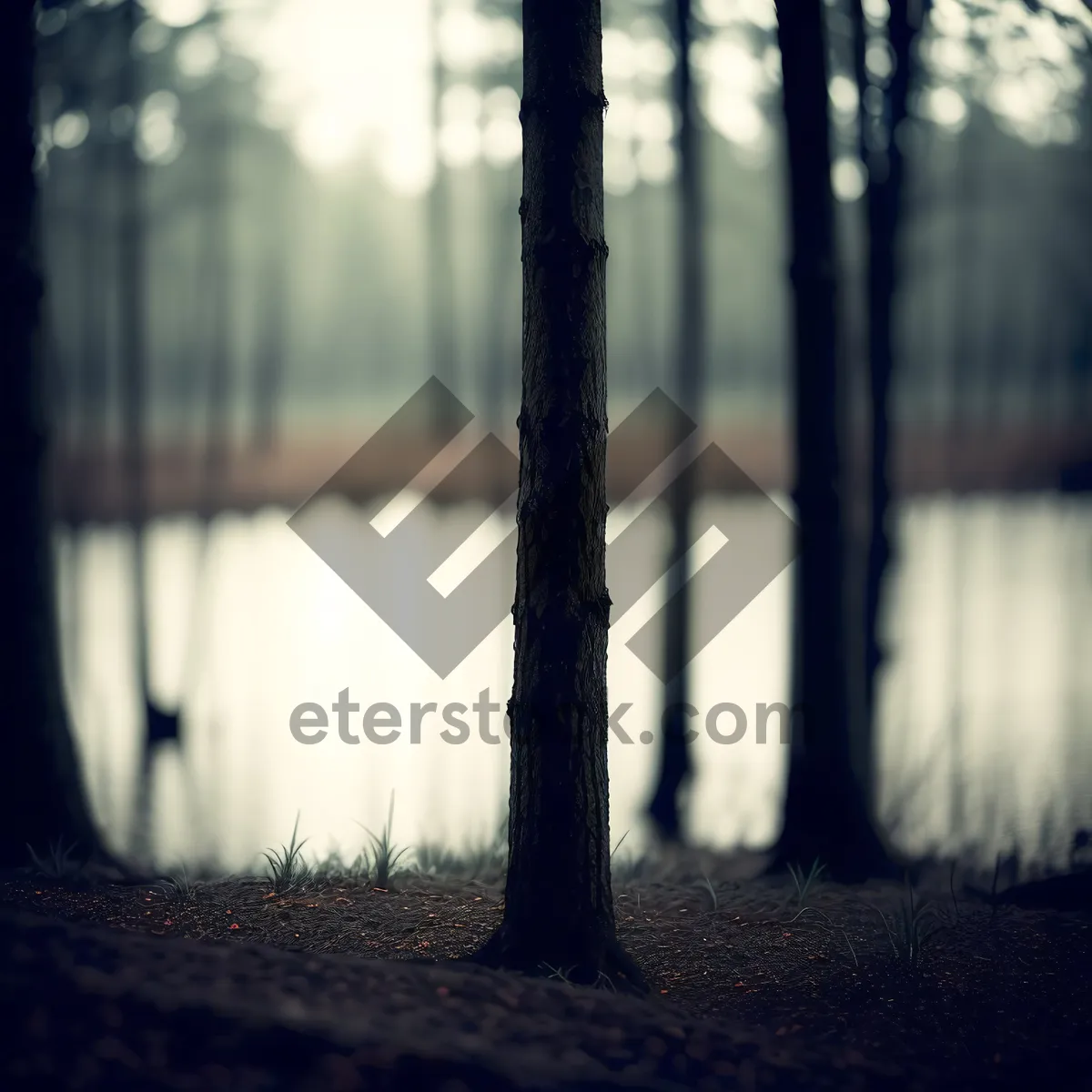 Picture of Fountain Pier nestled amidst Forest Landscape