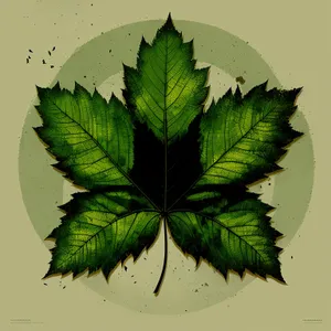 Lush Maple Leaf: Vibrant, Natural Foliage