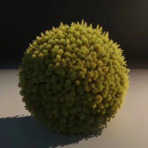 Closeup of Litchi Fruit on Golf Ball