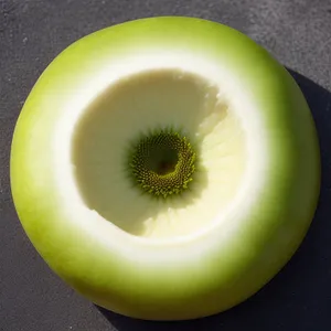Delicious Fresh Fruit Slices - Healthy and Nutritious