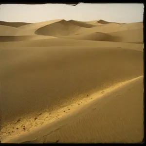 Golden Dunes of Morocco: Sun-kissed Desert Landscape