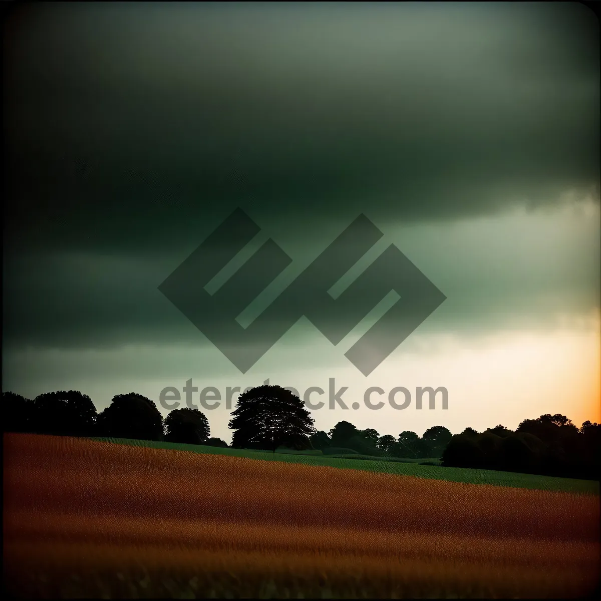Picture of Vibrant Sunset Over Rural Meadow and Fields