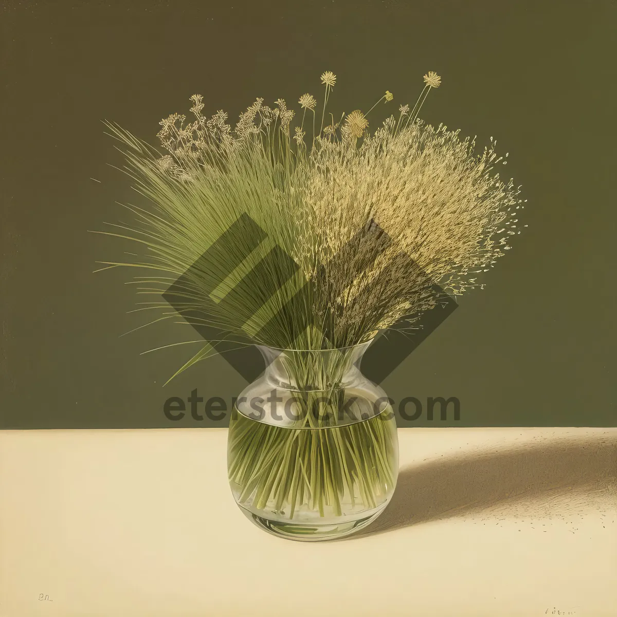 Picture of White Woody Dandelion Shrub in Light