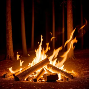 Fiery Blaze: A Captivating Display of Orange Heat