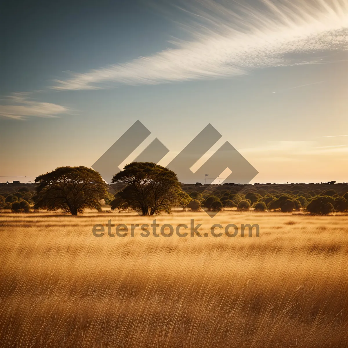 Picture of Golden Sunset Over Coastal Landscape