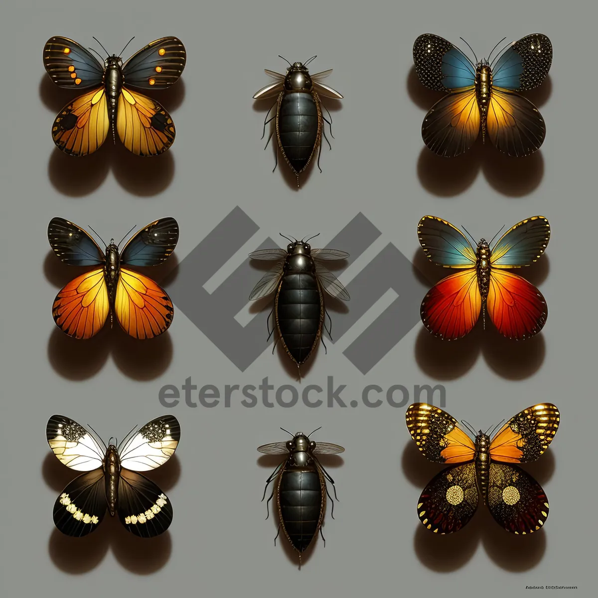 Picture of Colorful Autumn Harvest of Pumpkins and Butterflies