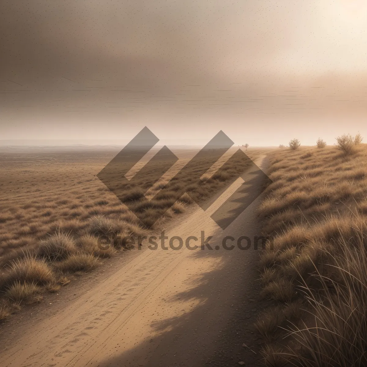 Picture of Serenity at Magic Hour: Dunes, Sky, and Ocean