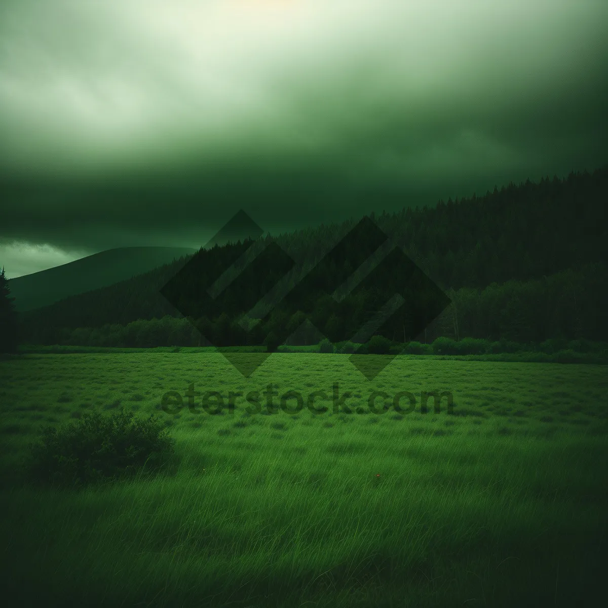 Picture of Vibrant rural landscape with green meadow and clear blue sky