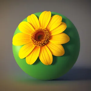 Vibrant Sunflower Blooming in Summer Garden