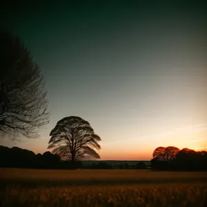 Golden Horizon: A Majestic Sunset Over a Serene Landscape