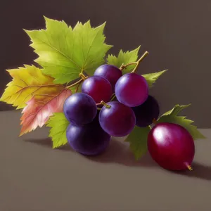 Festive Fruity Fun - Grape, Currant, and Gooseberry Medley