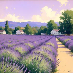Vibrant Lavender Sprouting in Picturesque Countryside