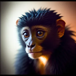 Cute Primate with Piercing Eyes in Wild