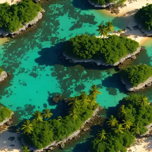 Colorful Tropical Coral Reef Along Coastal Waters