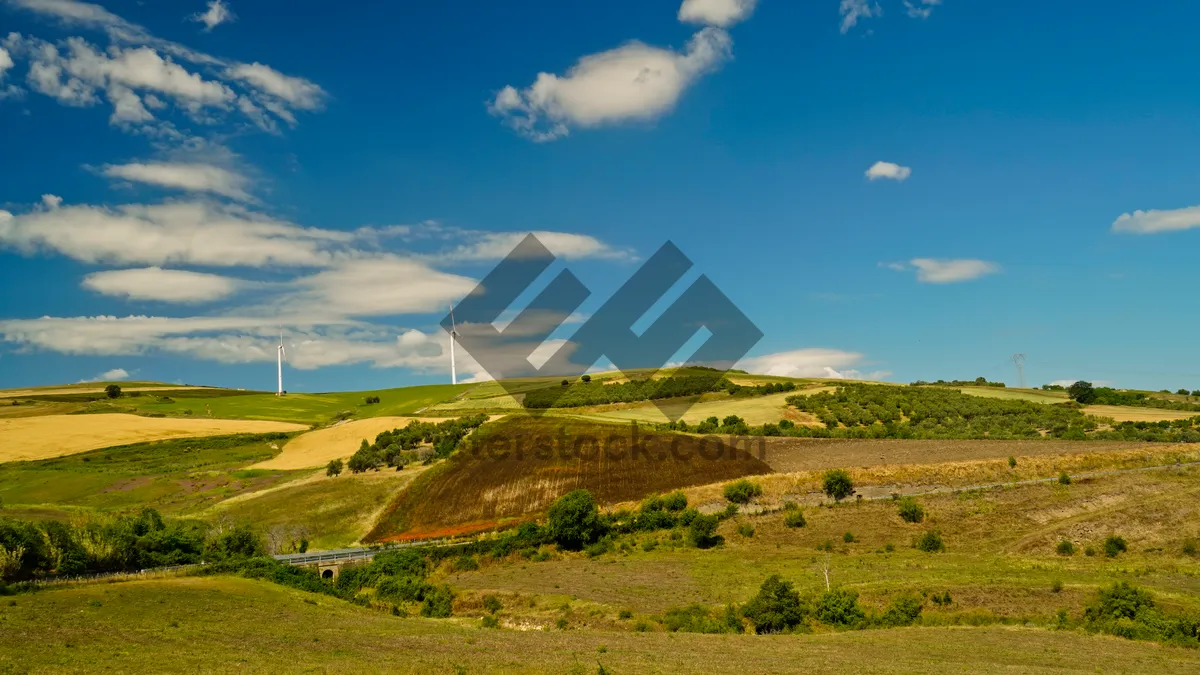 Picture of Scenic rural landscape with tree, mountain, and sun.