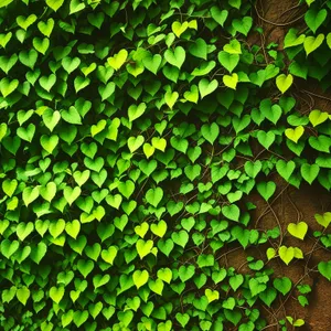 Vibrant Fern Leaf Pattern on Aquatic Plant