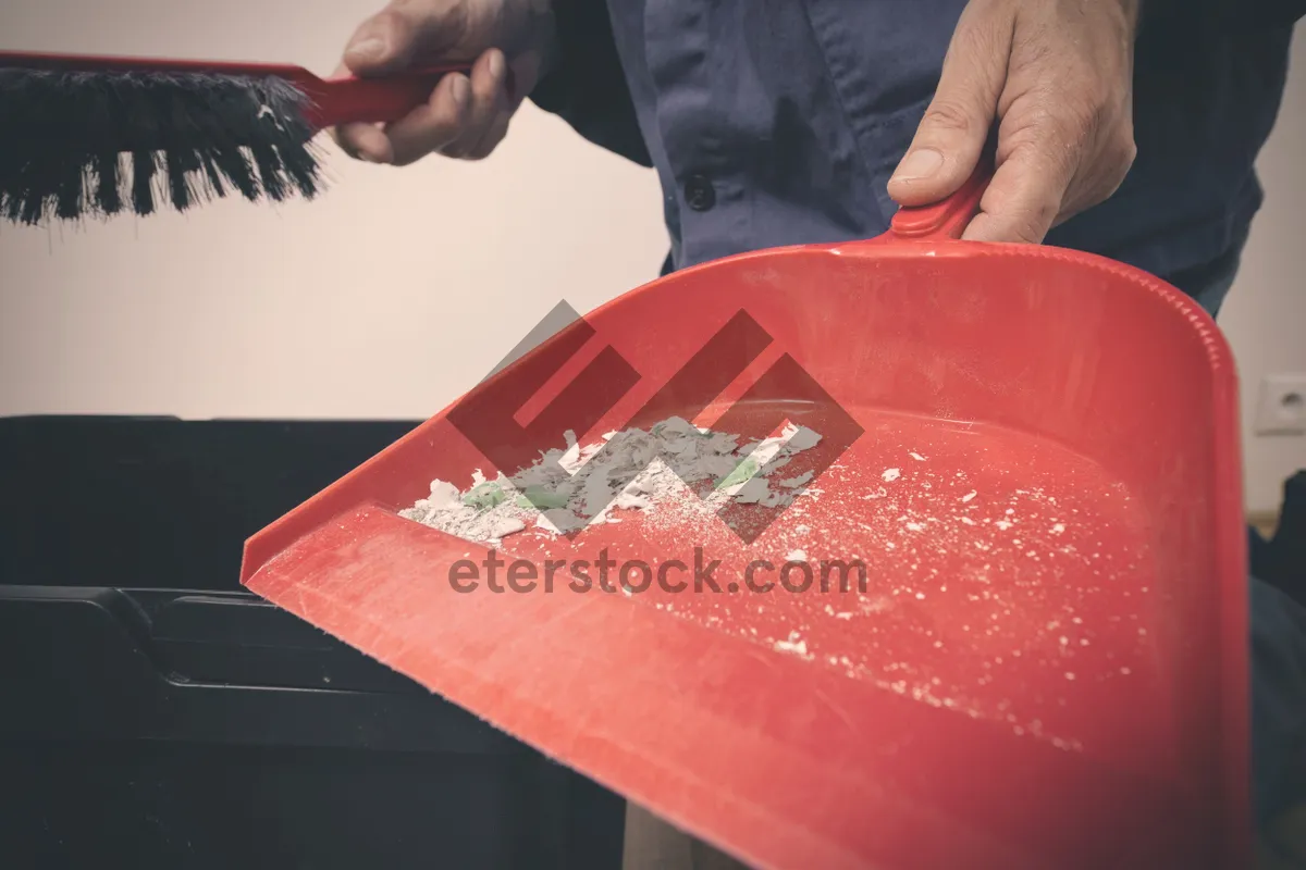 Picture of Container Tray for Organizing Items