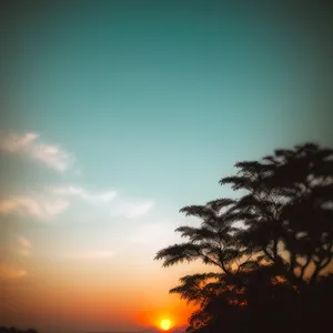Sunset Glow over Serene Summer Landscape